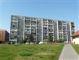4+1, ekova, Nymburk - ekova, Nymburk