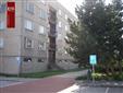Pronjem bytu 3+1 ve Smiicch u HK - Smiice