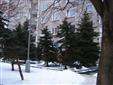 Prostorn 4+1 v Jirkov - Jirkov, Na Borku