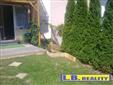 DB 1+1 Jehnice, CP40m2, zahrdka 60m2, novostavba - Jehnice